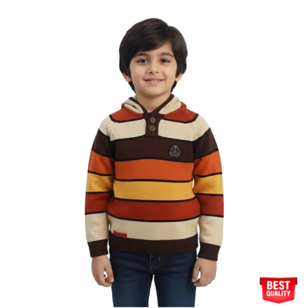 Boys Striped Hooded Sweater - Cozy Knit Pullover with Button Detail